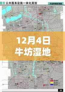 牛坊湿地最新动态,保护与开发的平衡之道揭秘