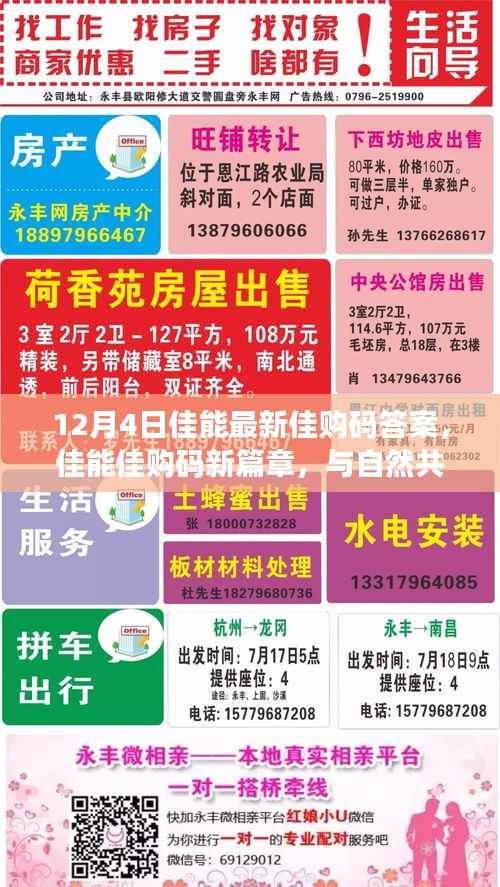 佳能佳购码新篇章揭秘,与自然共舞,探寻心灵宁静之地(12月4日最新答案)