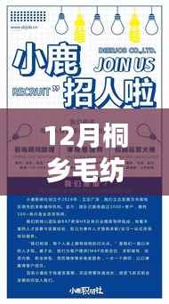桐乡毛纺厂12月全新招聘启事,职业梦想从这里起航!