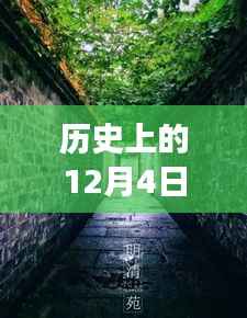 历史上的12月4日颍上易景售楼盛况揭秘,巷陌间的梦幻售楼空间独特记忆