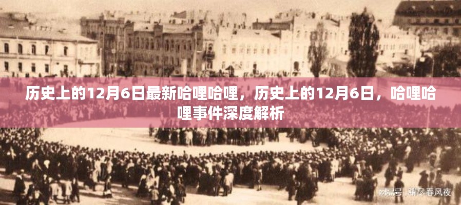 历史上的12月6日深度解析,哈哩哈哩事件回顾与解析