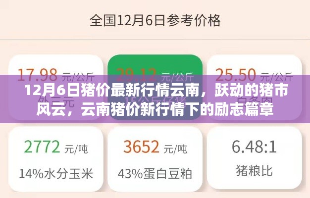 神采奕奕 第6页