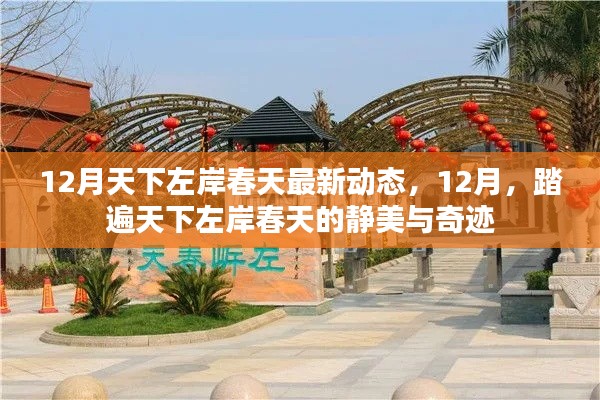 12月踏遍天下左岸春天,最新动态与静美奇迹全解析