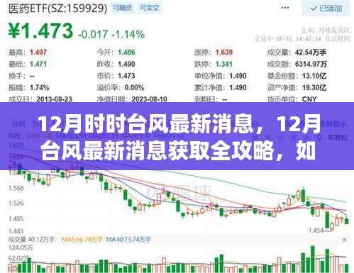 12月台风最新消息全攻略,如何跟进动态,获取实时信息
