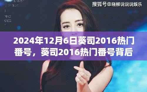 葵司2016热门番号背后的真相,探寻真实与虚幻的边界揭秘涉黄问题背后的故事(日期标注)