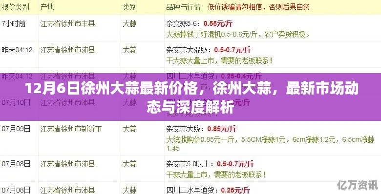 徐州大蒜最新价格动态,深度解析与市场走势预测