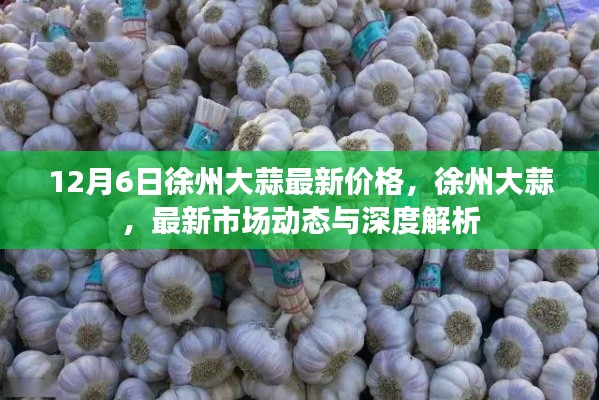 徐州大蒜最新价格动态,深度解析与市场走势预测
