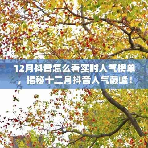 揭秘十二月抖音实时人气榜单,探秘特色小店,领略独特风情!