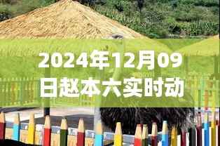 赵本六的奇妙自然之旅,寻找内心平静的美丽秘境(实时更新)