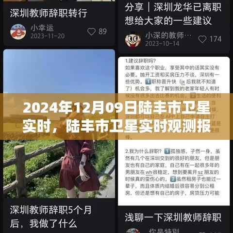 陆丰市卫星实时观测报告,探索星空下的奇迹,2024年12月09日