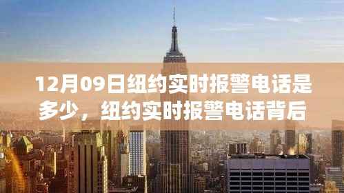 纽约实时报警电话背后的故事,变化、学习与自信的力量揭秘(附最新报警电话)