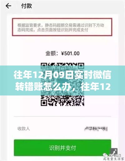 往年12月09日微信转账出错应对指南,实时策略与建议