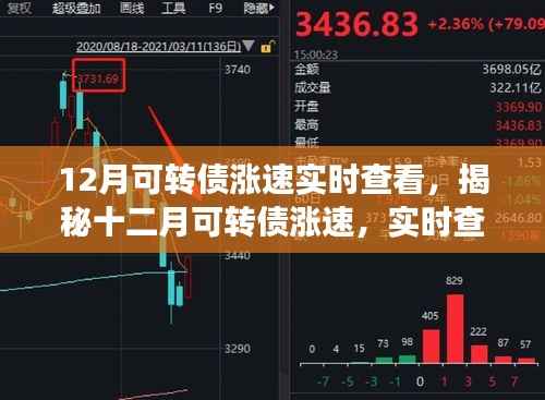 揭秘十二月可转债涨速,实时查看与深度解读报告