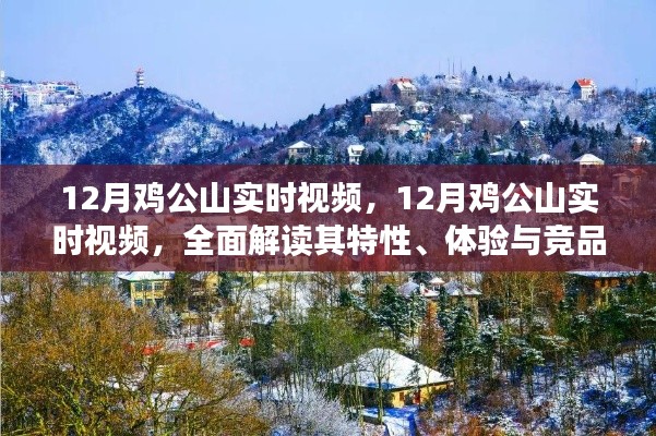 12月鸡公山实时视频,特性、体验与竞品对比全面解读
