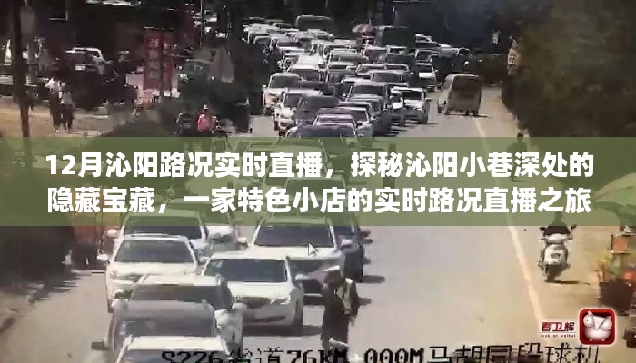 探秘沁阳小巷宝藏,实时路况直播启程,带你领略独特风情