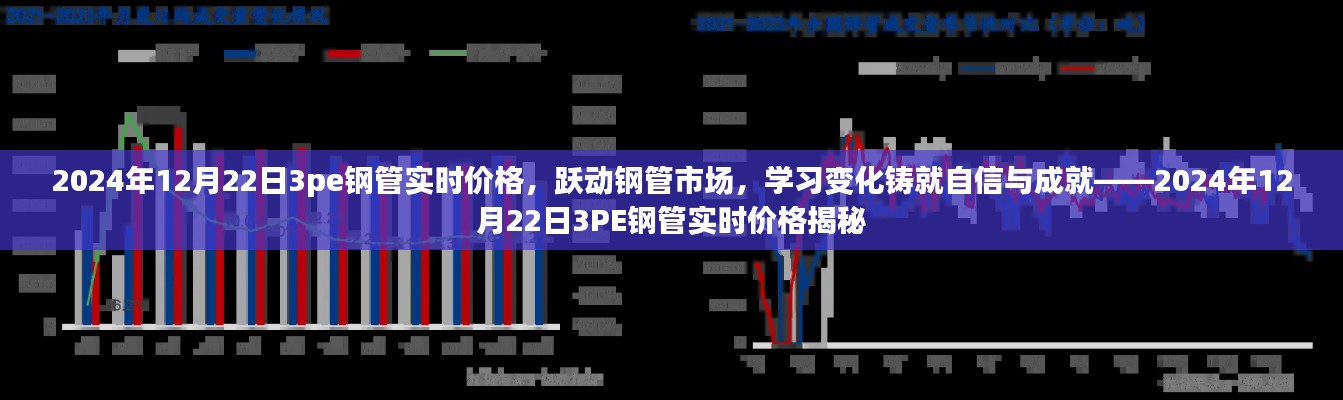 跃动钢管市场,揭秘2024年12月22日3PE钢管实时价格——洞悉变化,铸就自信与成就之路。