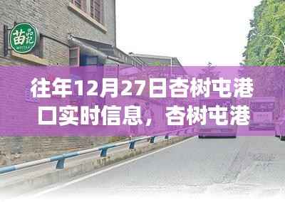 杏树屯港口,美食秘境与实时信息的探索之旅