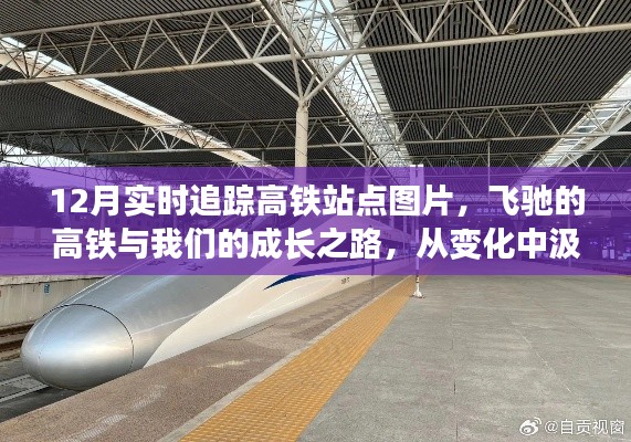 飞驰的高铁,成长的轨迹与自信的源泉