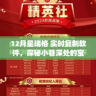 星瑞格实时复制软件的奇妙探秘之旅,小巷深处的宝藏揭秘