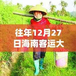 海南客运大巴车实时查询系统，历史轨迹与时代意义回顾（往年12月27日实时查询）