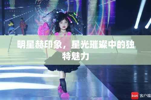明星赫印象,星光璀璨中的独特魅力