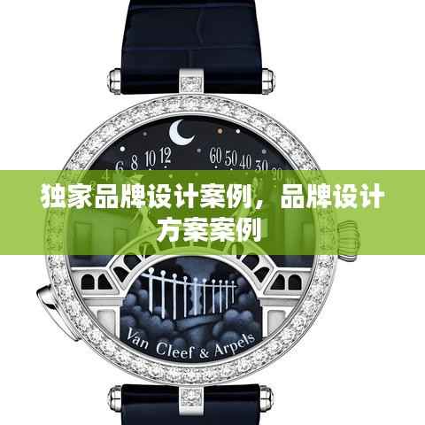 独家品牌设计案例,品牌设计方案案例