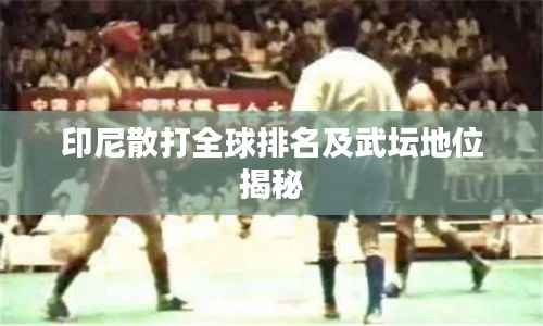 印尼散打全球排名及武坛地位揭秘