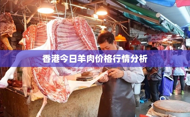 香港今日羊肉价格行情分析