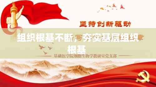 组织根基不断,夯实基层组织根基