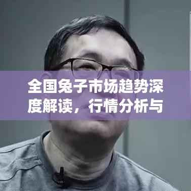 全国兔子市场趋势深度解读,行情分析与展望