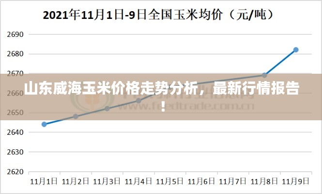 山东威海玉米价格走势分析,最新行情报告!