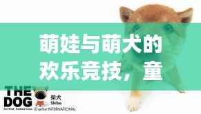 萌娃与萌犬的欢乐竞技,童真与犬类互动的美好瞬间视频