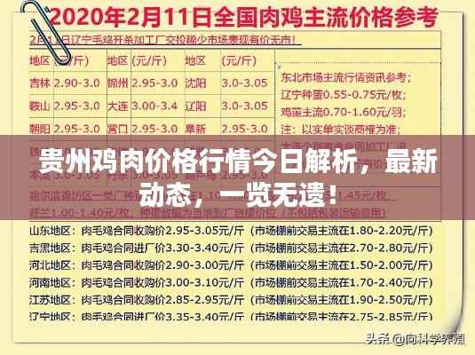 houniaonanfei 第2页