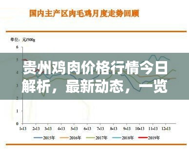 贵州鸡肉价格行情今日解析,最新动态,一览无遗!