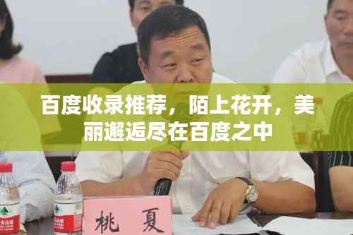 百度收录推荐,陌上花开,美丽邂逅尽在百度之中