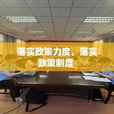 落实政策力度,落实政策制度