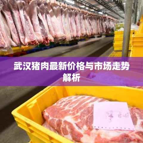 武汉猪肉最新价格与市场走势解析