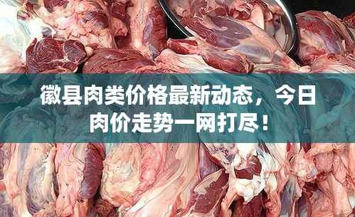 徽县肉类价格最新动态,今日肉价走势一网打尽!