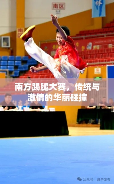 南方踢腿大赛,传统与激情的华丽碰撞