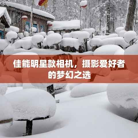 美如冠玉 第3页