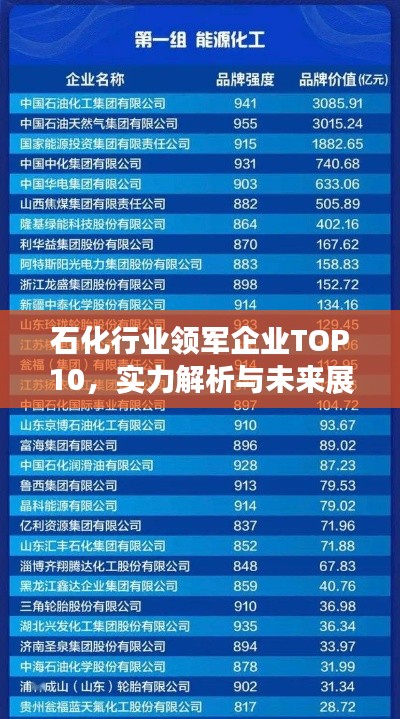 石化行业领军企业TOP10,实力解析与未来展望