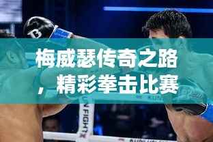 梅威瑟传奇之路,精彩拳击比赛视频回顾