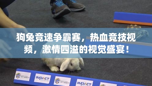 狗兔竞速争霸赛,热血竞技视频,激情四溢的视觉盛宴!