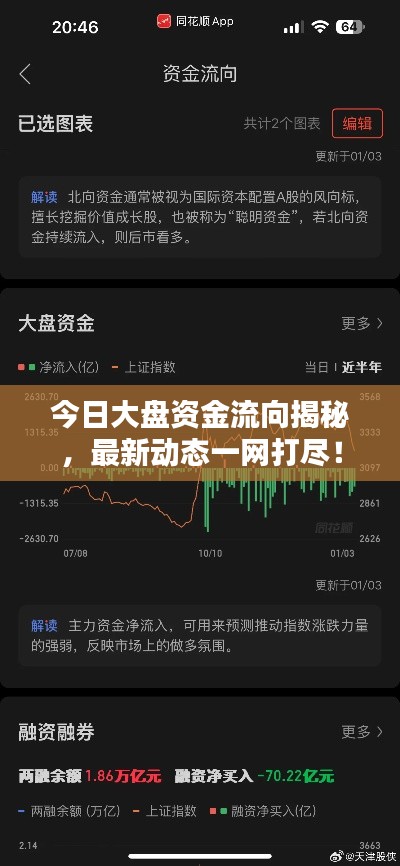 今日大盘资金流向揭秘,最新动态一网打尽!