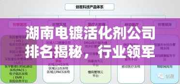 湖南电镀活化剂公司排名揭秘,行业领军企业及概述