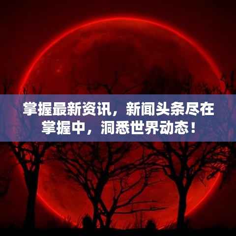 掌握最新资讯,新闻头条尽在掌握中,洞悉世界动态!