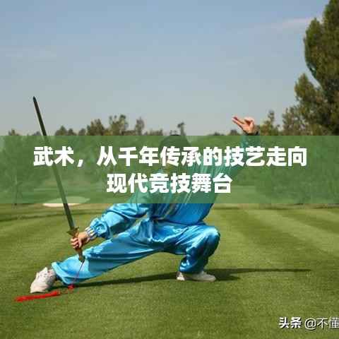 武术,从千年传承的技艺走向现代竞技舞台