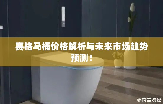赛格马桶价格解析与未来市场趋势预测!