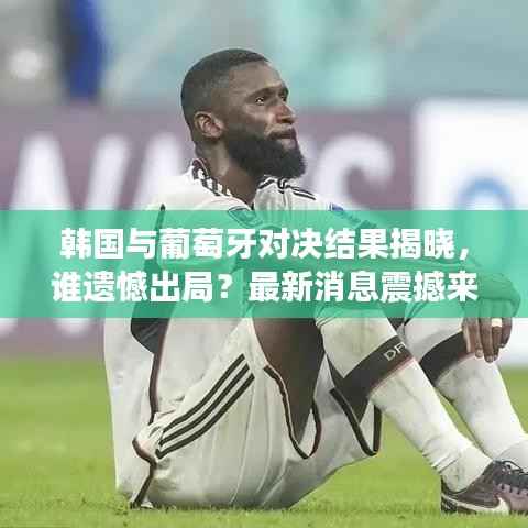 韩国与葡萄牙对决结果揭晓，谁遗憾出局？最新消息震撼来袭！