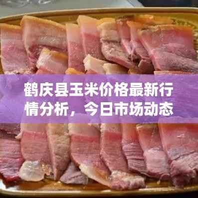 鹤庆县玉米价格最新行情分析,今日市场动态揭秘!